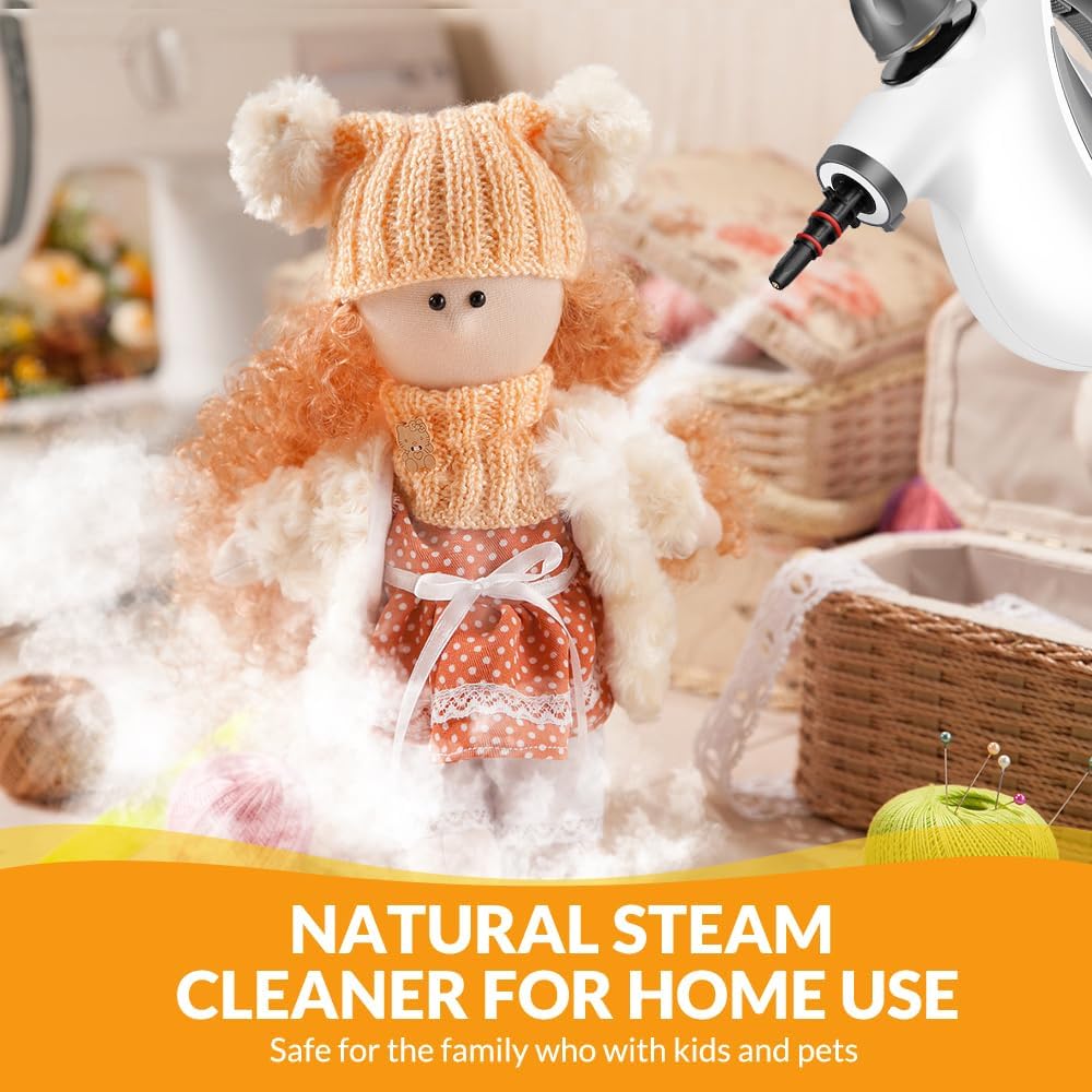 Professional High-Pressure Steam Sanitizing System